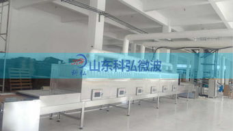 微波烘干技术革新者 山东科弘，引领专业微波豆腐猫砂干燥设备制造